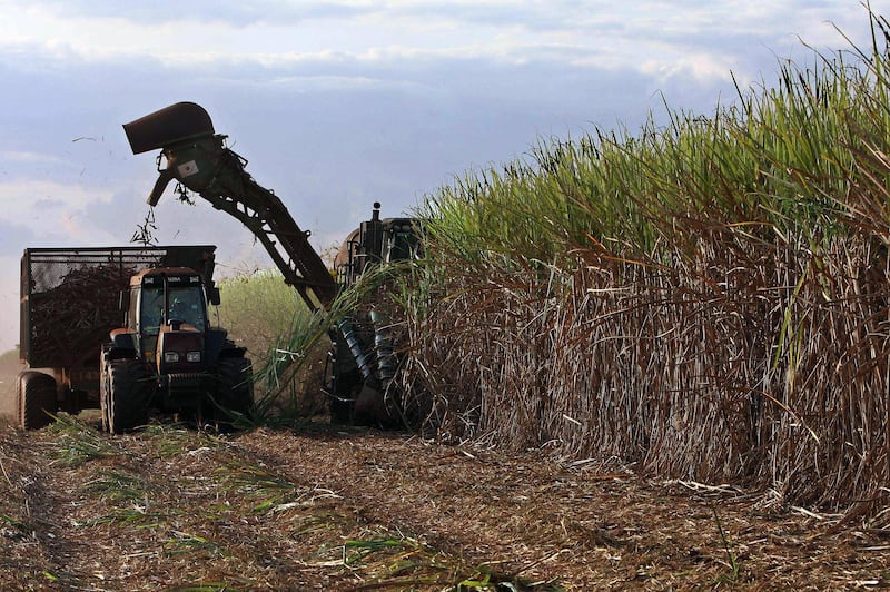A mechanical harvester works in a sugar cane plantation in Usina Santa Elisa farm in Sertaozinho, 400 km from Sao Paulo, on June 6, 2008. While other countries are hiking prices at the pump, Brazil is going against the trend: maintaining retail prices by cutting fuel taxes. Ethanol, made from domestically-grown sugar cane, is cheaper than gasoline, and sells for just 1.5 reals (0.95 cents) per liter -- giving the country an added measure of insulation from global oil prices. More than 80 percent of cars are "flex-fuel" models, meaning their engines are built to run on either gasoline or ethanol, or a mix of the two.    AFP PHOTO/Nelson Almeida (Photo by NELSON ALMEIDA / AFP)