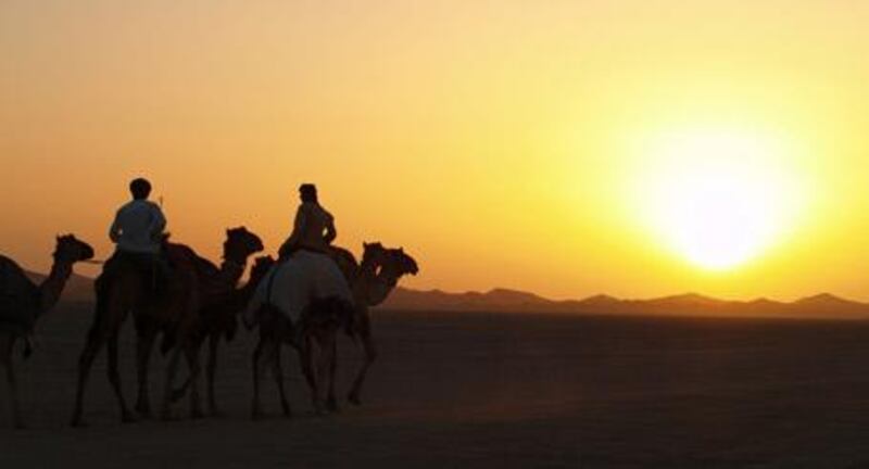 In the cooler evenings, trainers with racing camels are a common sight in the Al Wagan area.