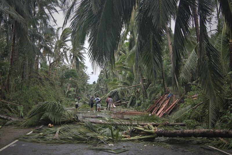 People walking along a motorway with fallen trees destroyed at the height of Typhoon Hagupit, in Eastern samar province central Philippines. Vincent Go / AFP
