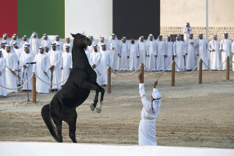 AL WATHBA, ABU DHABI, UNITED ARAB EMIRATES - December 03, 2017: Horseman participate in the Union March during the Sheikh Zayed Heritage Festival. 

( Mohamed Al Suwaidi for the Crown Prince Court - Abu Dhabi )
---