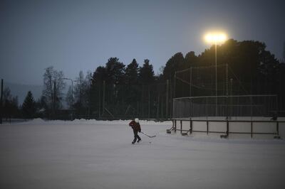 Finland's energy sector is working to replace the Russian imports that were cut off in May. AFP 