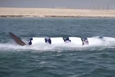 The disorientated whale shark was placed in a large bag before being guided to safety. Environment Agency Abu Dhabi    