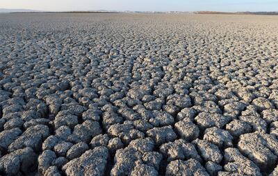A dried-out part of the Sijoumi lagoon in Tunis. Reuters