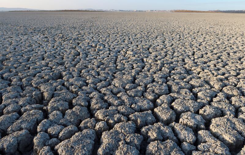 The cracked and parched bed of the Sijoumi lagoon in August.  Reuters