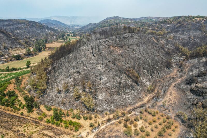 A hill is left bare of tree cover after a fire passed through.