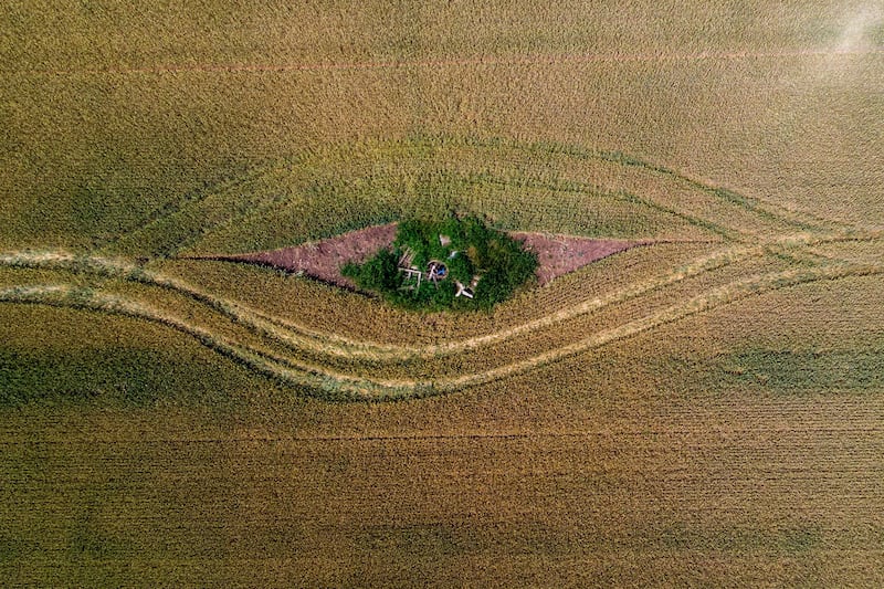 An aerial drone photo shows traces of the wheel of an agricultural vehicle on a grain field near Hajduszoboszlo, Hungary. EPA