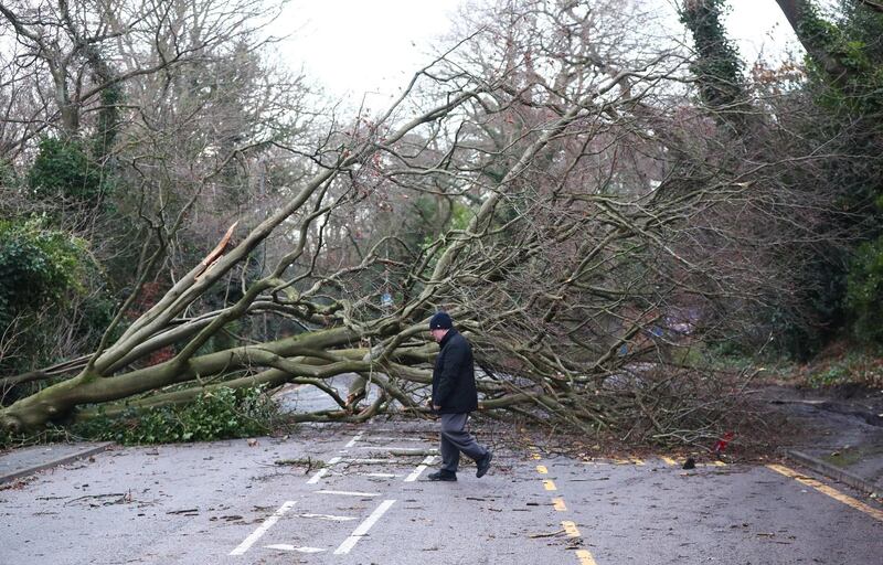 A fallen tree in Harrow, north west London, Neil Hall / EPA