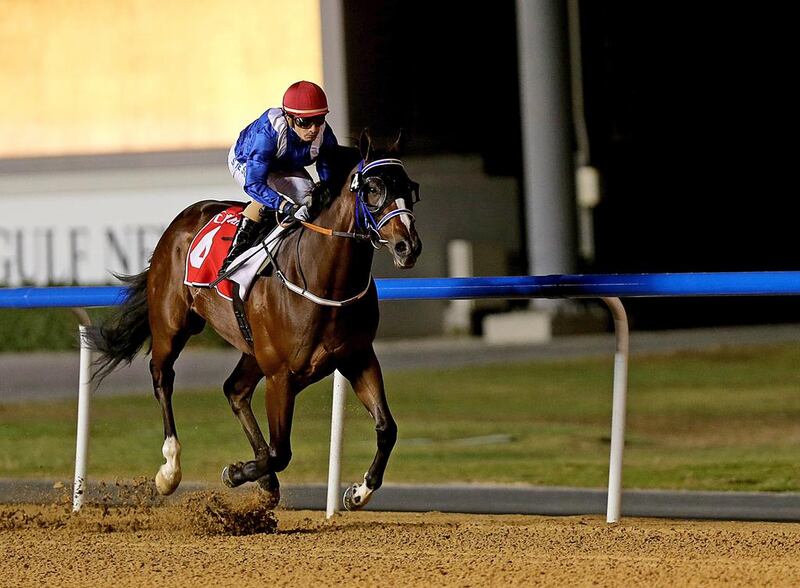 Shaishee is coming off a ‘very progressive’ season and returns to the Meydan Racecourse on Thursday night. Satish Kumar / The National

