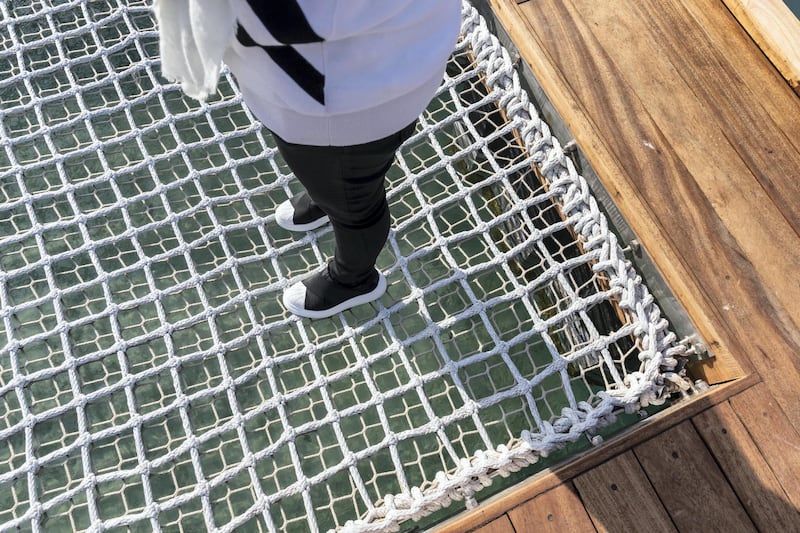 ABU DHABI, UNITED ARAB EMIRATES. 30 JANUARY 2020. The newly launched Mangrove Walk at Al Jubail Islandi. A special floating platform that allows visitors to observe the mangrove water and life without interference. (Photo: Antonie Robertson/The National) Journalist: Janice Rodrigues. Section: National.

