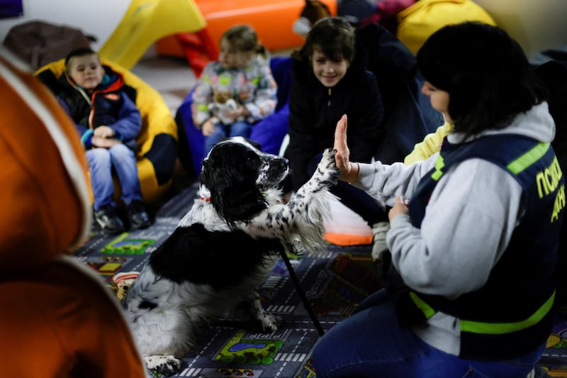 Children play with a therapeutic dog at a shelter organised by volunteers in Zaporizhzhya, Ukraine. Reuters