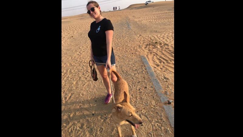 Hayley's Saturday ritual of walking dogs at Stray Dogs UAQ will involve a lot more effort and driving now that she's moved to Abu Dhabi, but she's wondering if it's time to find new routines.  