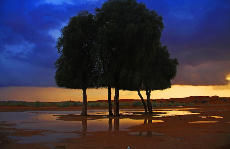 Ghaf trees at sunset after rain in Sharjah's Mleiha desert, one of outdoor expert Ajmal Hasan's favourite places in the UAE. Photo: Ajmal Hasan