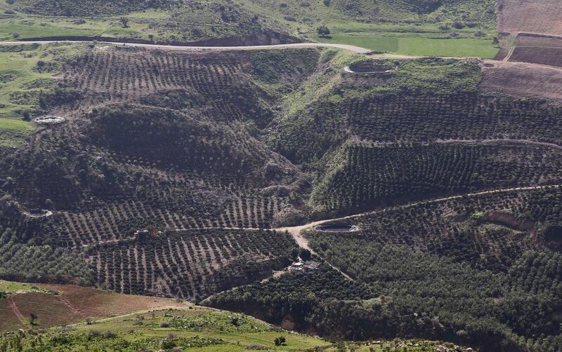 A view of an area, which Jordanian volunteers replanted with saplings, near the forest of Kufranjah, north of Amman. AFP