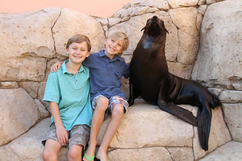 Kids have a rare chance to meet and get their photo taken with a sea lion at Atlantis, The Palm in Dubai. Courtesy Atlantis, The Palm