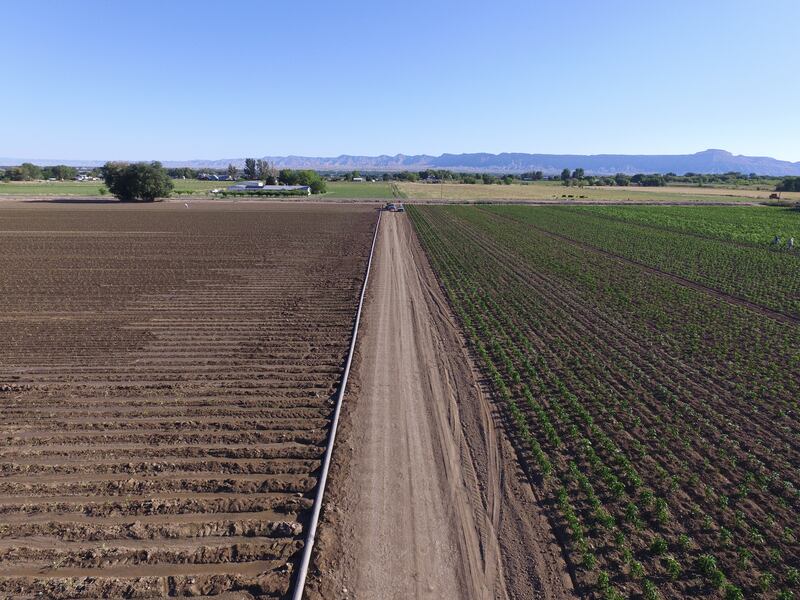 An aerial view of Frank Nieslanik’s farm. On one side of the road, the fields have been irrigated. On the other, they haven’t.