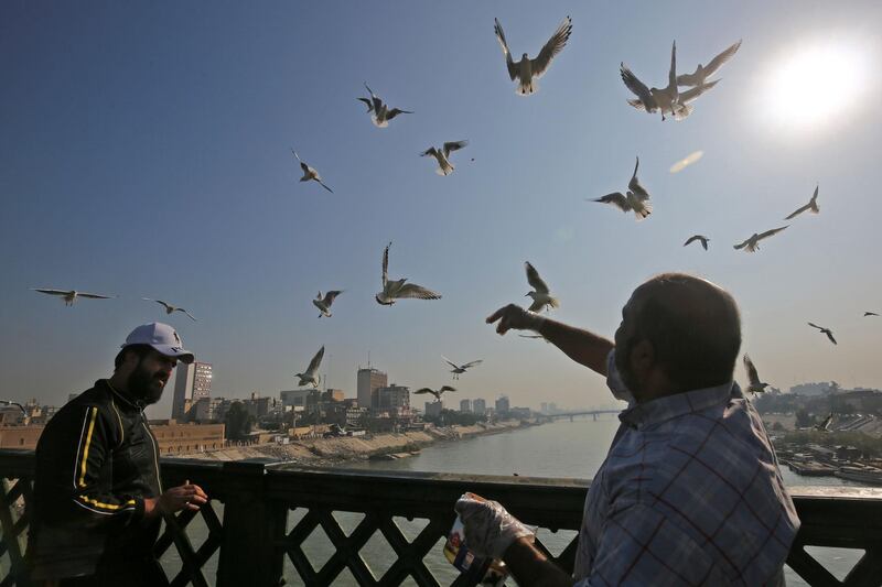 An Iraqi man feeds seagulls on a bridge across the Tigris River in central Baghdad on December 11, 2020. / AFP / AHMAD AL-RUBAYE
