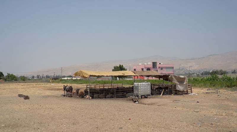 A farmland in Al Ghawr, Jordan Valley. Rapid population growth, over-farming, geopolitical changes and more frequent droughts have compounded Jordan’s water problems.