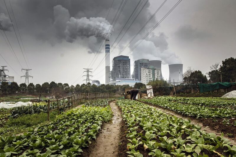 Bloomberg Best of the Year 2019: A man tends to vegetables in a field as emissions rise from nearby cooling towers of a coal-fired power station in Tongling, Anhui province, China, on Wednesday, Jan. 16, 2019. Photographer: Qilai Shen/Bloomberg