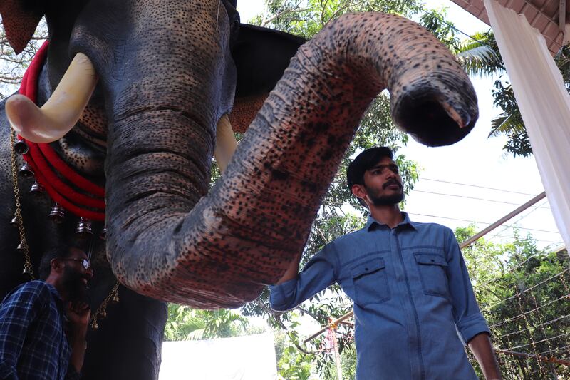 There are more than 2,600 captive elephants in India, according to the Ministry of Environment and Forests