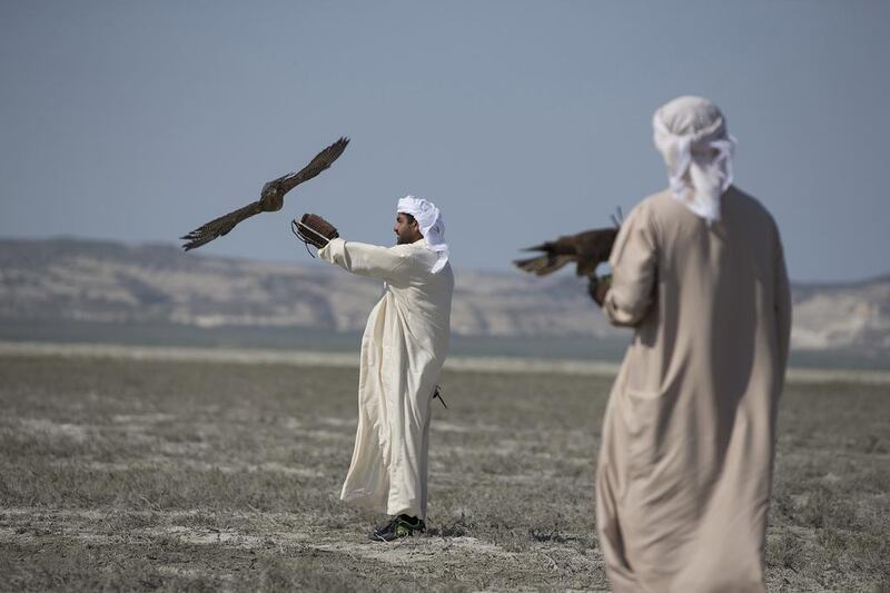 Saif al Hamadi, left, a falconer at the private office of Sheikh Mohammed bin Zayed, releases a first-year female peregrin falcon, fitted with a satellite transmitter.