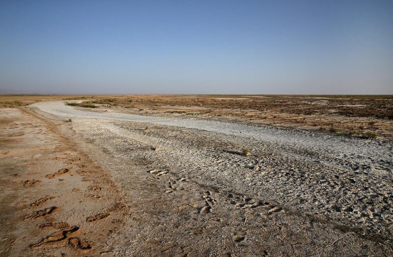 Desicated salt-laced fields surround the Gavkhouni wetlands, outside town of Varzaneh, on July 10, 2018. AP Photo