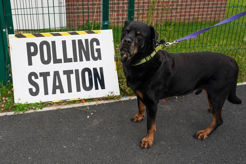 A dog waits outside a polling station in Selby. Getty