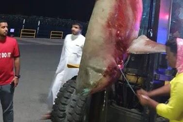 “Many fishermen were complaining about its behaviour and that made me decide to hunt it down," said Eid Suleiman, who killed a bull shark in Fujairah. Courtesy: Eid Suleiman