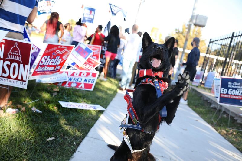 A service dog does a trick for its owner outside at a polling location for the 2020 Presidential election in Houston, Texas. Bloomberg