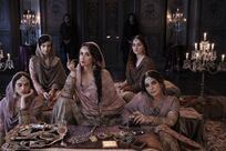 Heeramandi: The Diamond Bazaar – cast and plot of Sanjay Leela Bhansali's Netflix series