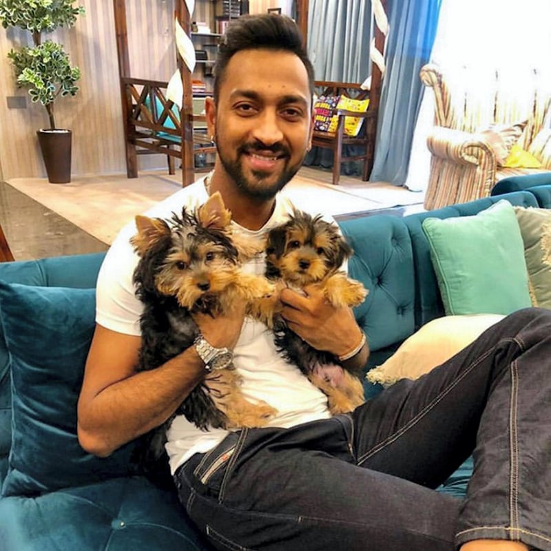 Krunal Pandya with his furry friends. Courtesy Mumbai Indians twitter / @mipaltan