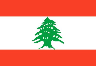 The tree is the centrepiece of the Lebanese flag, and is featured on the currency, the Lebanese airlines and in the national anthem. Getty Images