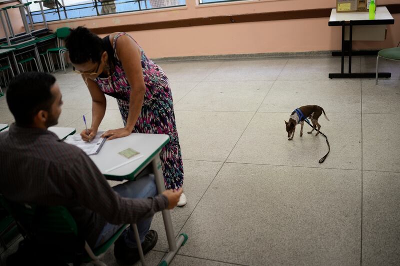 A voter in Sao Paulo. AP