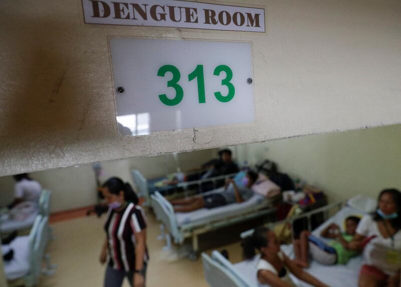 Dengue patients at the San Lazaro government hospital in Manila on August 7. All photos: AP