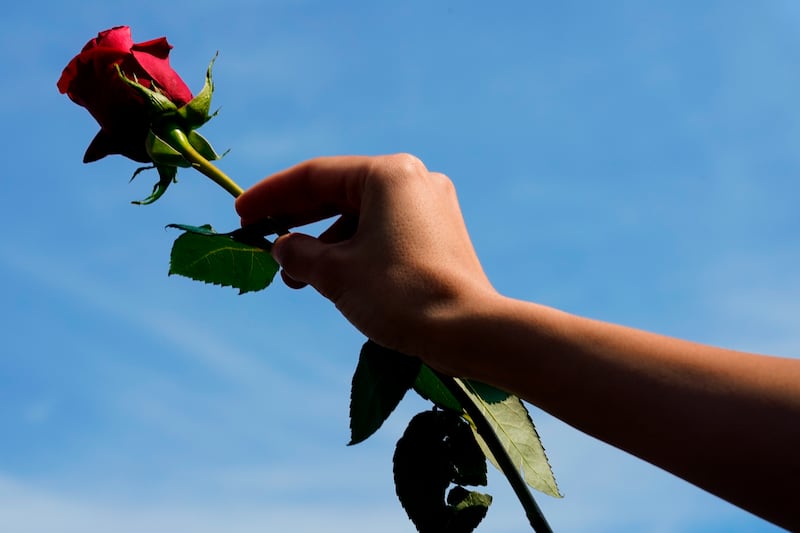A person holds a flower as a group prays near the scene of the shooting. AP