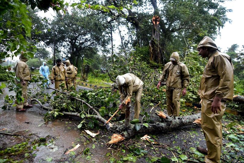 Men cut through a fallen tree to clear the road between Gopalpur and Berhampura. AFP