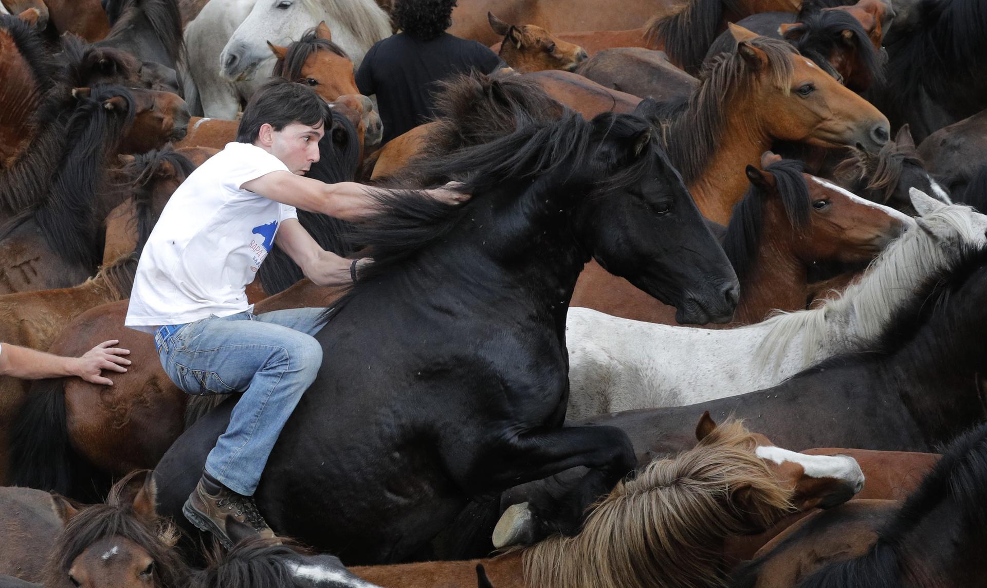 A reveller takes part in the traditional 'Rapa das Bestas' or The Capture of the Beasts festival in Sabucedo, Galicia, Spain. EPA