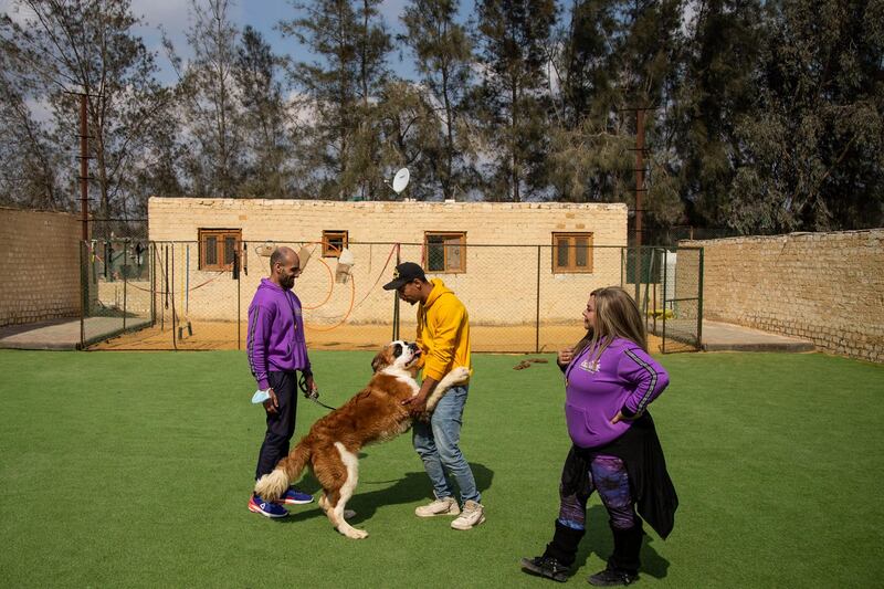 The team will entertain dogs for a fee. EPA