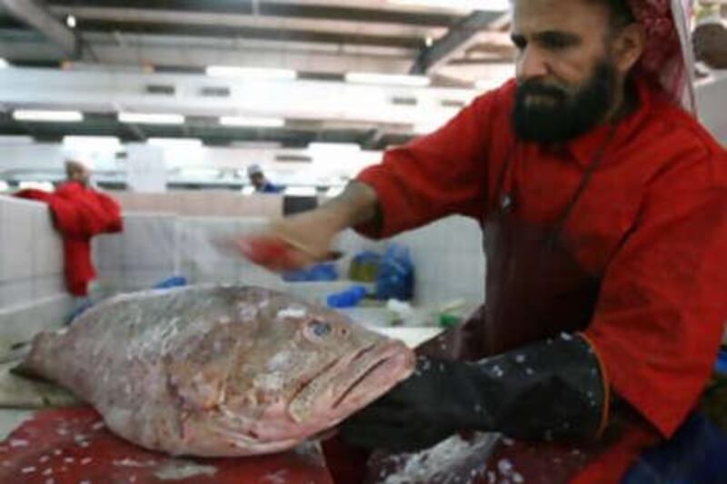 A trader de-scales hamour at the Abu Dhabi fish market. Consumers are encouraged to reject small fish that were caught too early and could not reproduce to sustain their species.