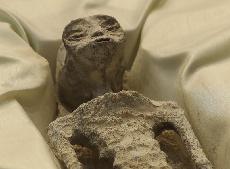 The mummified remains uncovered in Peru are said to be more than 1,000 years old. The two bodies, displayed in a glass box, have three-fingered hands and no teeth


