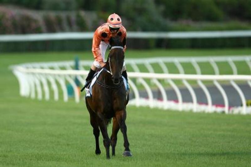 MELBOURNE, AUSTRALIA - JANUARY 27:  Luke Nolen riding Black Caviar heads to the start line for Race Four Essendon Mazda Australia Stakes during Australia Stakes Night at Moonee Valley Racecourse on January 27, 2012 in Melbourne, Australia.  (Photo by Robert Prezioso/Getty Images)