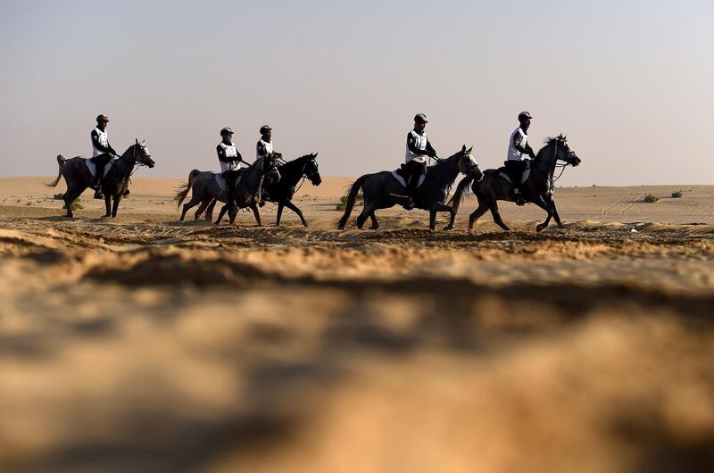 Riders compete in Sheikh Mohammed bin Rashid Al Maktoum Endurance Cup at Dubai International Endurance City. Tom Dulat / Getty Images