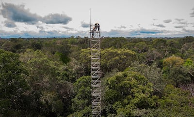 An open-air structure that will help to discover in advance what the future of the biome will be like due to climate change, in Manos, Brazil. EPA