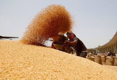 A worker sifts through wheat on the outskirts of Ahmedabad, India. Reuters