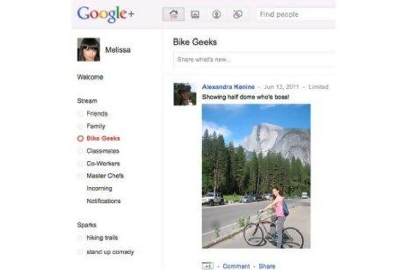 The look of Google+.