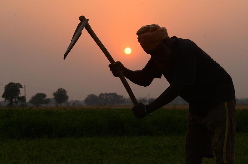 An Indian farmer works in a field on the outskirts of Amritsar. Narinder Nanu / AFP Photo