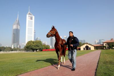 Dubai, United Arab Emirates - January 16th, 2018: Satish Seemar, one of the longest serving and successful racehorse trainers in the UAE. Tuesday, January 16th, 2018 at Zabeel stables, Dubai. Chris Whiteoak / The National