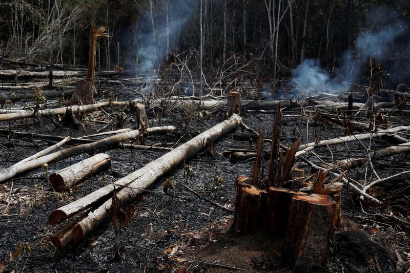 A tract of Amazon jungle burns as it is being cleared by loggers and farmers in Novo Airao, Amazonas state, Brazil.  Reuters