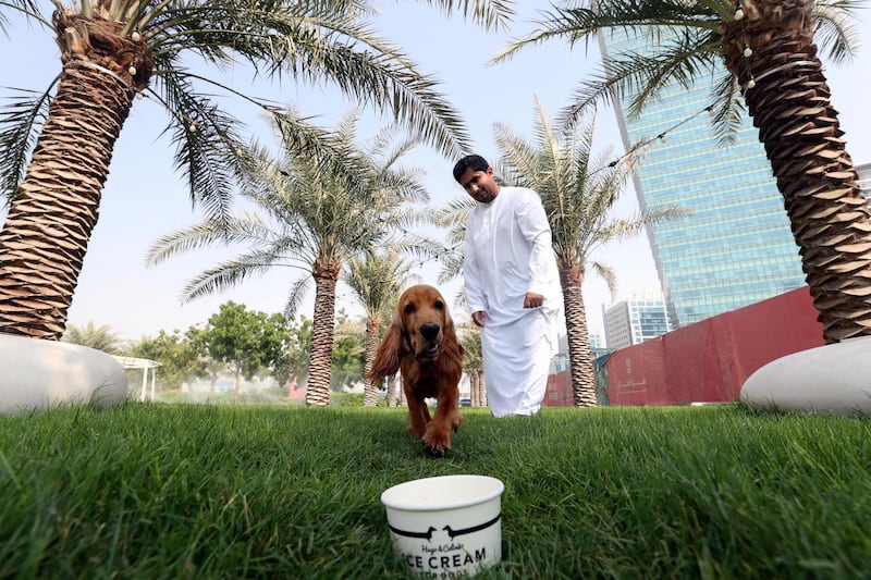 Dubai, United Arab Emirates - June 20th, 2018: Photo Project. Dogs keeping cool in the desert. Hamad Mughawer with his dog Oscar who is a English cocker spaniel eatting doggy ice-cream (Hugo and Celine) to stay cool. Wednesday, June 20th, 2018 at Business Bay, Dubai. Chris Whiteoak / The National