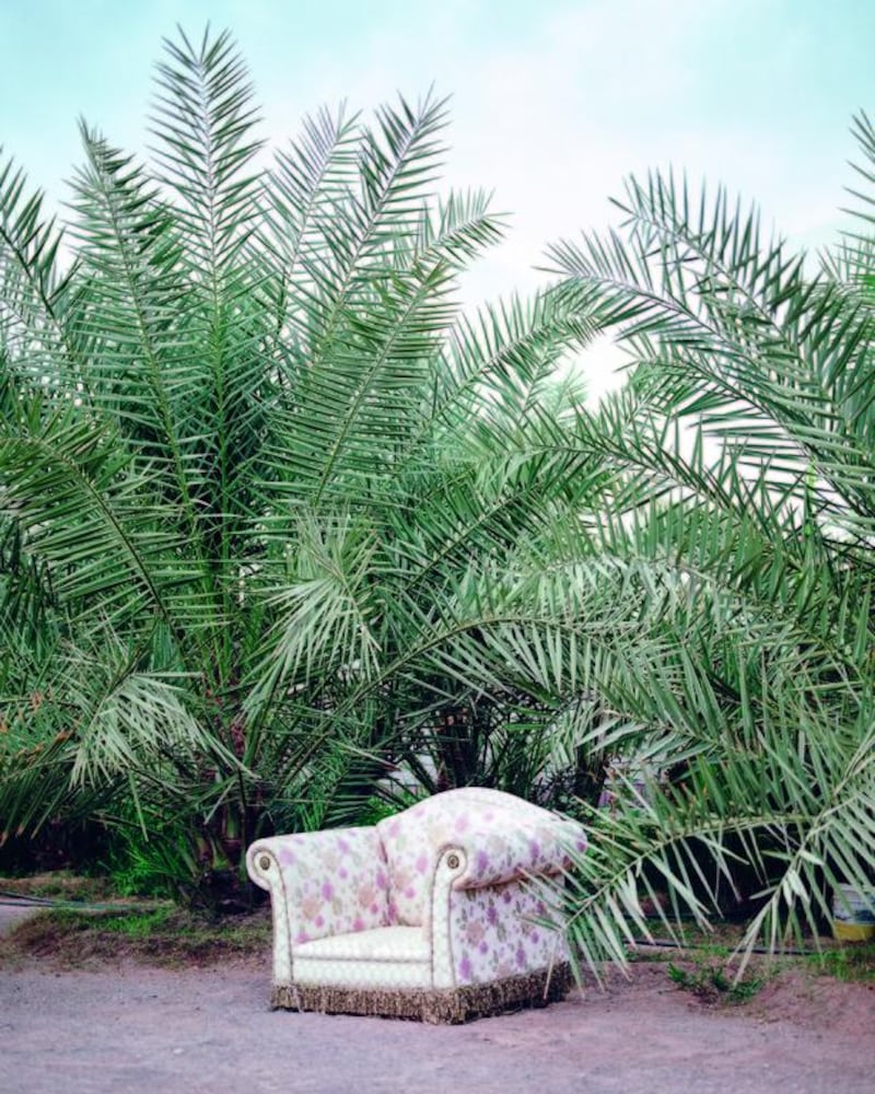 A sofa under the shade of palm trees in Al Maqam, Al Ain. Courtesy Reem Falaknaz / National Pavilion UAE.