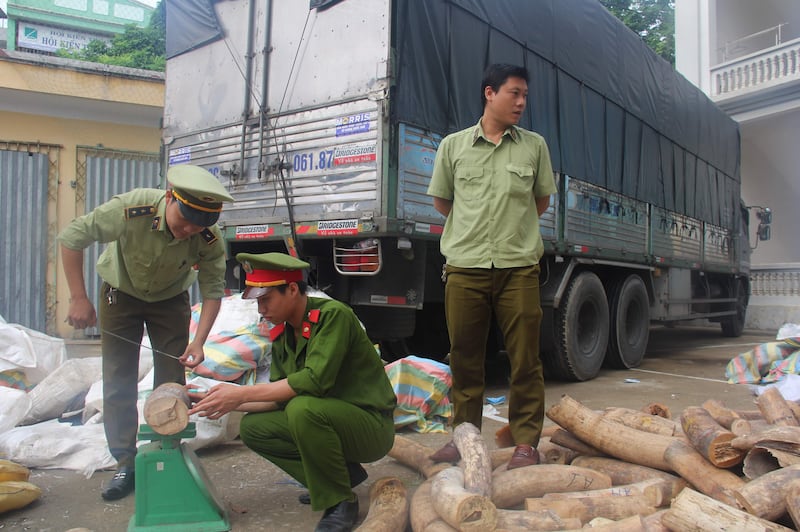 A policeman and a customs officer inspecting seized ivory transported on a truck in the central province of Thanh Hoa. Vietnamese authorities have seized nearly three tonnes of ivory hidden among boxes of fruit, officials said on July 9, 2017.Vietnam News Agency / AFP